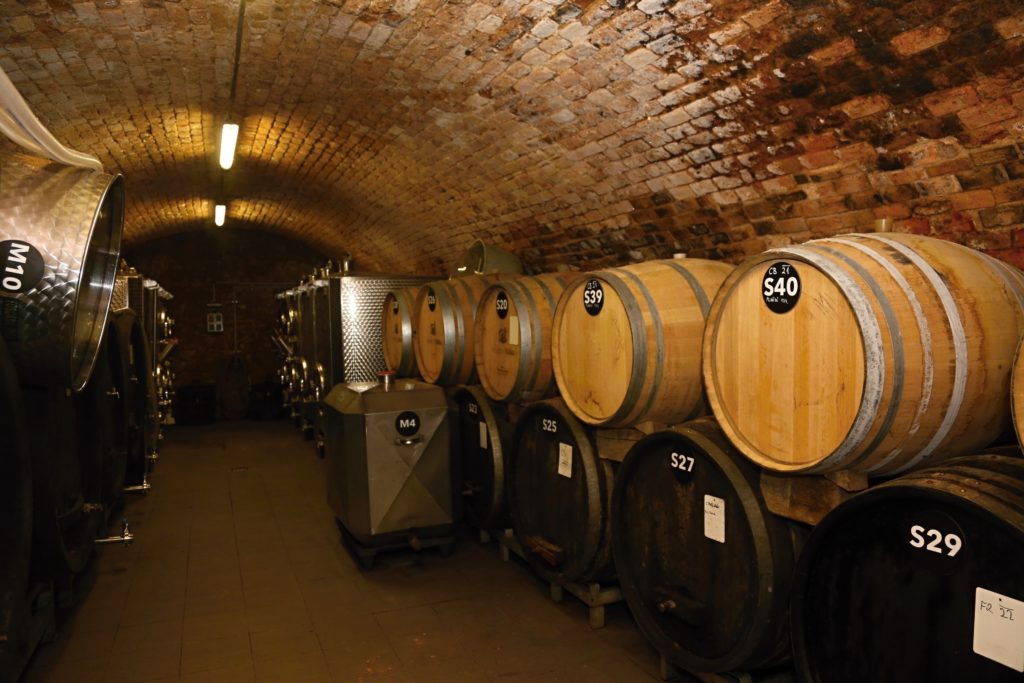 K vinařství patří i historické sklepy, které se rodina snaží zachovat a postupně opravovat
