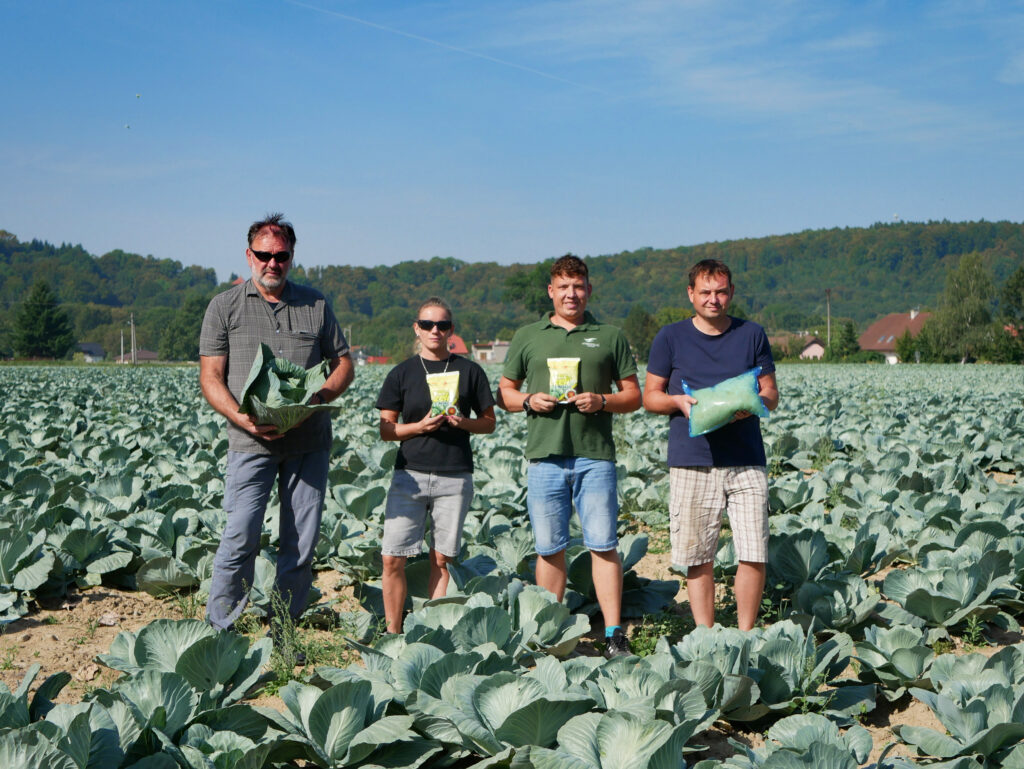 Chloubu podniku, tedy nošovické zelí přímo na poli ukázali Ing. Zdeněk Škola, Ivana Bolíková, Mgr. Boris Sušovský ze společnosti Agrofinal a agronom ZDV Nošovice Ing. Lukáš Vícha (zleva)
Foto archiv ZDV Nošovice